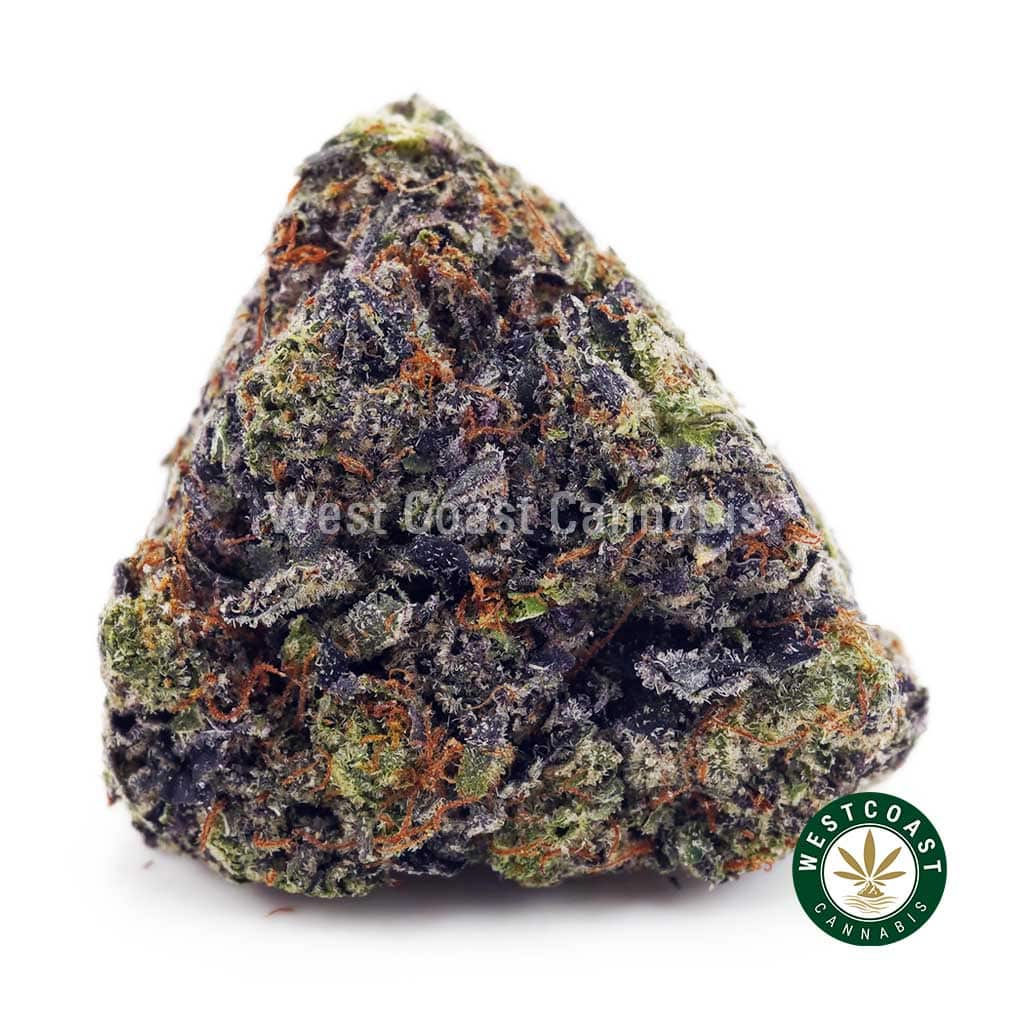 #1 Online Weed Dispensary in Canada To Buy Weed Online #1 Online Weed Dispensary in Canada To Buy Weed Online