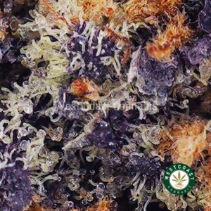 9LBS Hammer AAAA - West Coast Cannabis