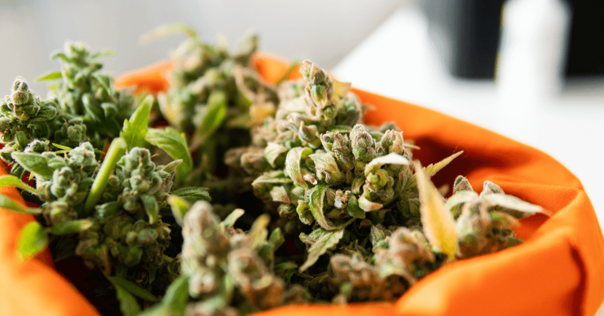 Buy Weed Online Ontario