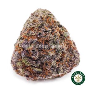 Acapulco Gold AAA - West Coast Cannabis