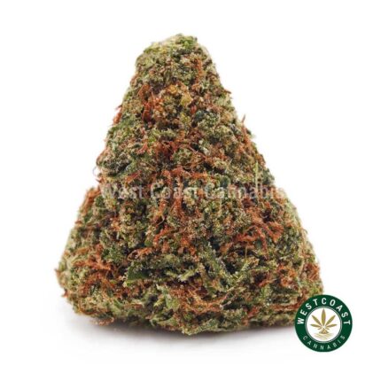 Afghan Horsemen AA - West Coast Cannabis