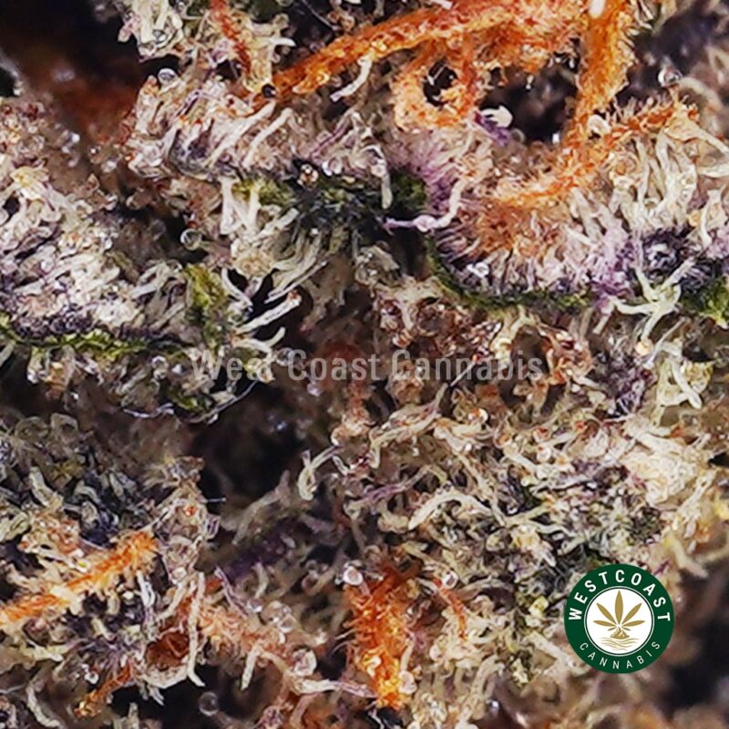 Afghan Kush AAA - West Coast Cannabis