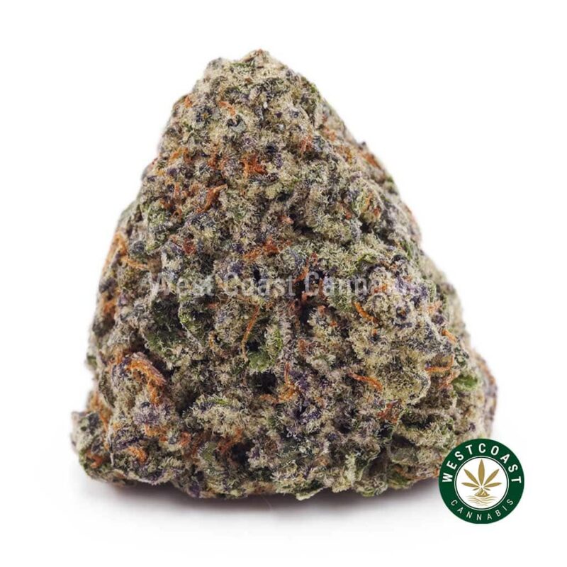 Afghan Kush AAA - West Coast Cannabis