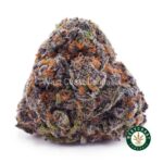 Afghan Skunk AAA - West Coast Cannabis