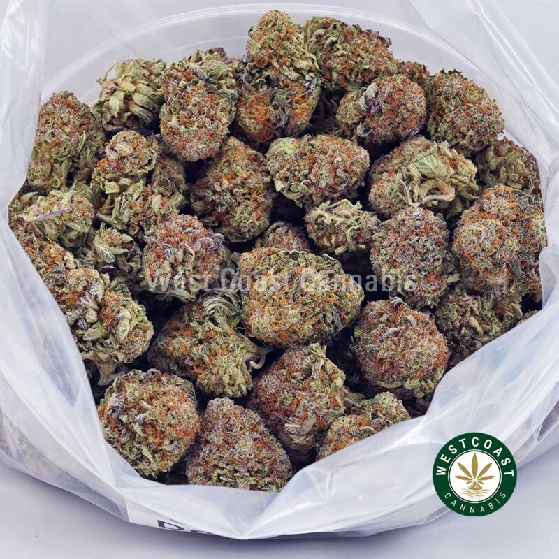AK - 47 AAAA - West Coast Cannabis