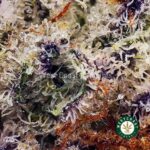 AK - 47 AAAA - West Coast Cannabis