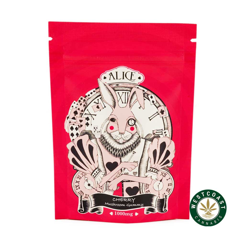 Alice Mushroom Gummy - Cherry 1000mg - West Coast Cannabis Alice Mushroom Gummy - Cherry 1000mg - West Coast Cannabis