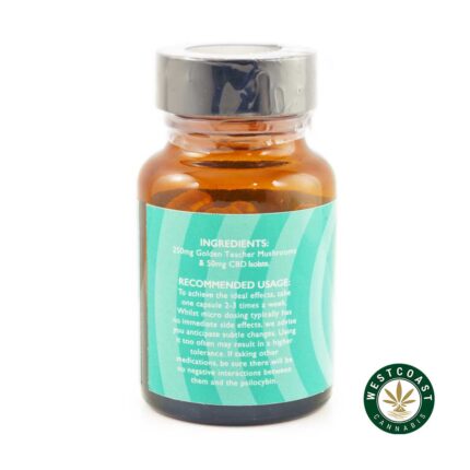 Alice Mushroom - Micro Dose Capsules - Envision (6000mg per Bottle) - West Coast Cannabis