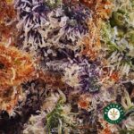 Alien Rock Candy AAA - West Coast Cannabis
