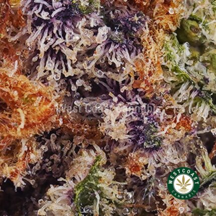 Alien Rock Candy AAA - West Coast Cannabis