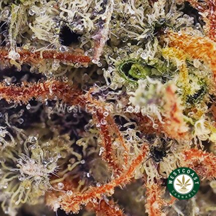 Animal Cookies AAA - West Coast Cannabis