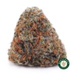 Animal Cookies AAA - West Coast Cannabis