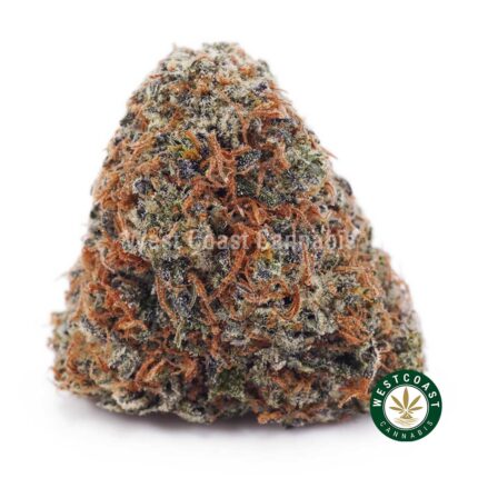 Animal Cookies AAA - West Coast Cannabis