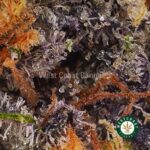Animal Crackers AAA - West Coast Cannabis