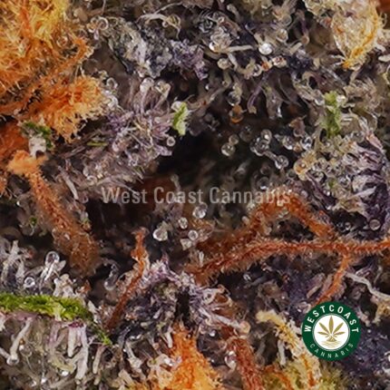 Animal Crackers AAA - West Coast Cannabis