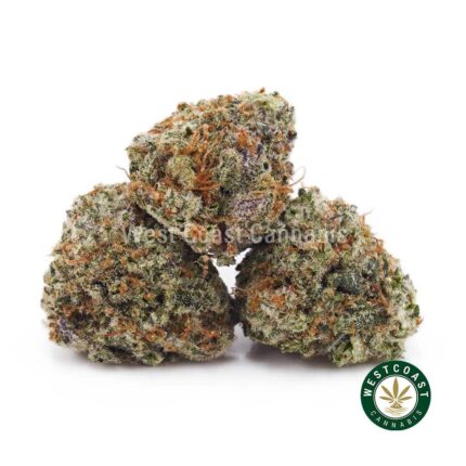 Astro Cookies AAAA (Popcorn Nugs) - West Coast Cannabis