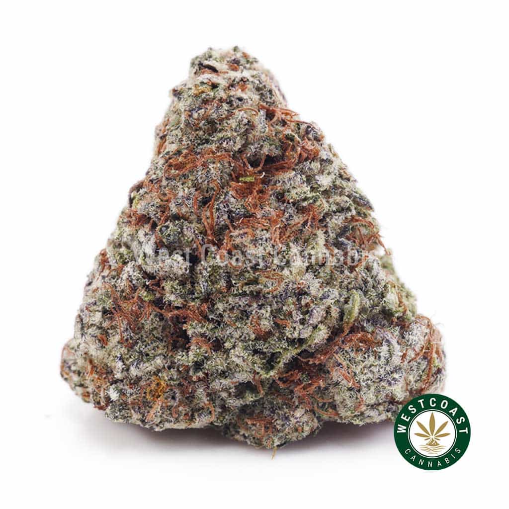 Atomic Blueberry AAAA - West Coast Cannabis Atomic Blueberry AAAA - West Coast Cannabis