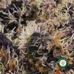 Big Buddha OG AAAA - West Coast Cannabis