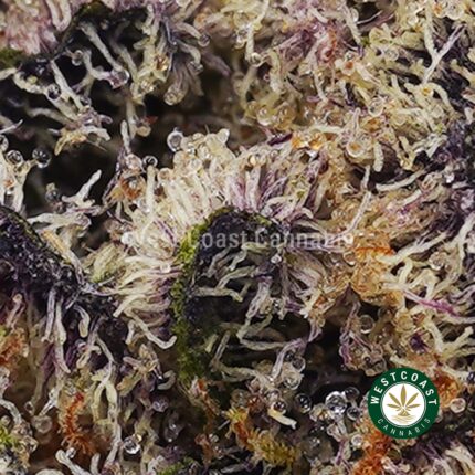 Big Buddha OG AAAA - West Coast Cannabis