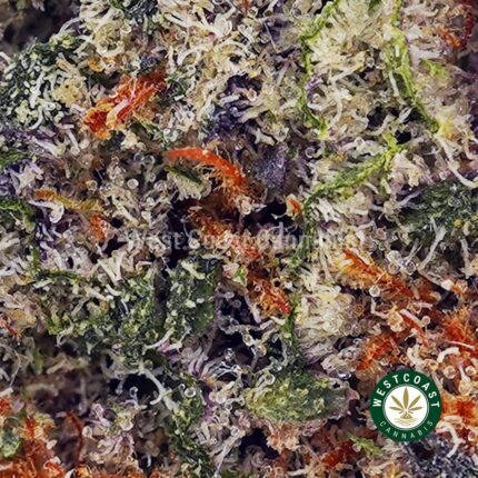 Blackberry Cheesecake AAAA (Popcorn Nugs) - West Coast Cannabis