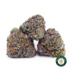 Blackberry Cheesecake AAAA (Popcorn Nugs) - West Coast Cannabis