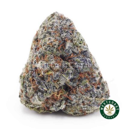 Blackberry Haze AAAA - West Coast Cannabis