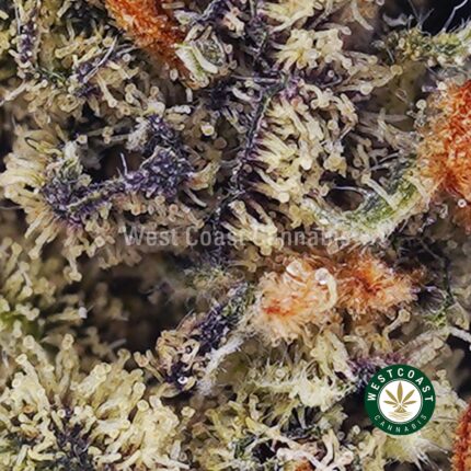 Blueberry Bomb AAAA - West Coast Cannabis