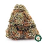 Blueberry Bomb AAAA - West Coast Cannabis
