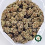 Blueberry Bomb AAAA - West Coast Cannabis