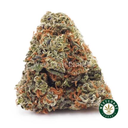 Blueberry Bomb AAAA - West Coast Cannabis