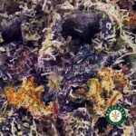 Blueberry Cough AAAA - West Coast Cannabis