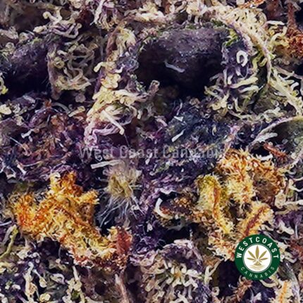 Blueberry Cough AAAA - West Coast Cannabis