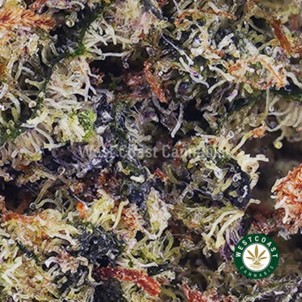 Blueberry Icewreck AAAA - West Coast Cannabis