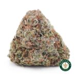 Bluefin Tuna AAA - West Coast Cannabis
