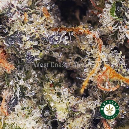Bubba Kush AAA - West Coast Cannabis