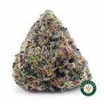 Bubba Kush AAA - West Coast Cannabis