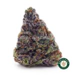 Bubble Gum Kush AAA - West Coast Cannabis