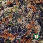 Bubble Gum Kush AAA - West Coast Cannabis