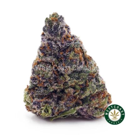 Bubble Gum Kush AAA - West Coast Cannabis