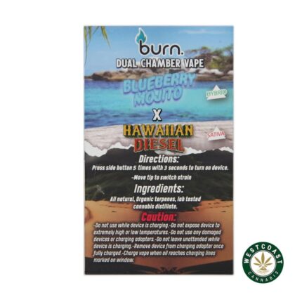 Burn Extracts - Dual Chamber Disposable Vape - Blueberry Mojito + Hawaiian Diesel (3+3 Gram) - West Coast Cannabis