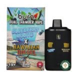 Burn Extracts - Dual Chamber Disposable Vape - Blueberry Mojito + Hawaiian Diesel (3+3 Gram) - West Coast Cannabis