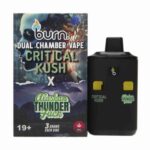 Burn Extracts - Dual Chamber Disposable Vape - Critical Kush + Alaskan Thunder Fuck (3+3 Gram) - West Coast Cannabis