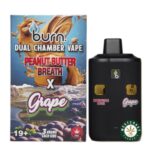 Burn Extracts - Dual Chamber Disposable Vape - Peanut Butter Breath + Grape (3+3 Gram) - West Coast Cannabis