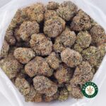 Buy 33 Splitter AAAA+ - West Coast Cannabis