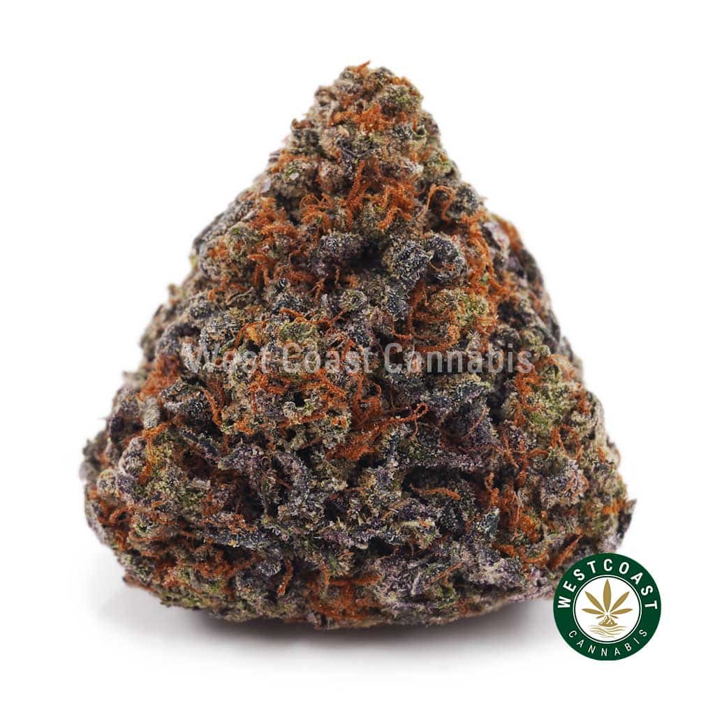 Buy Alaskan Thunder Fuck Strain Online - Alaskan Thunder Fuck Buy Alaskan Thunder Fuck Strain Online - Alaskan Thunder Fuck