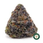 Buy Couch Lock - Best Couch Lock Strain Online