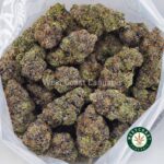 Buy Couch Lock - Best Couch Lock Strain Online