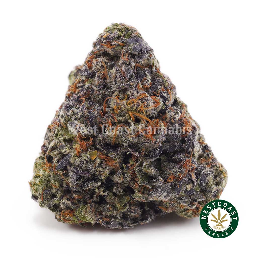 Buy Couch Lock - Best Couch Lock Strain Online Buy Couch Lock - Best Couch Lock Strain Online