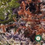 Buy First Class Funk AAAA+ - West Coast Cannabis