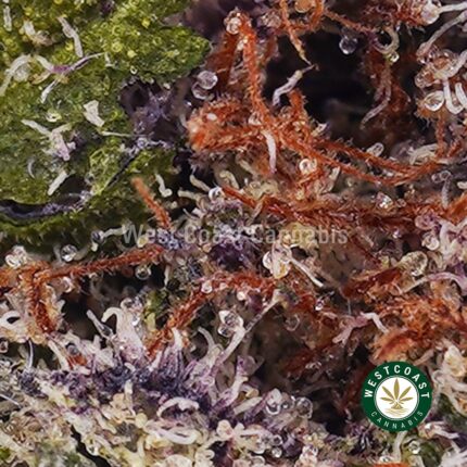 Buy First Class Funk AAAA+ - West Coast Cannabis